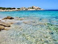 Resor Klarblått vatten vid en stenig strand, med gröna och bruna buskar i bakgrunden.